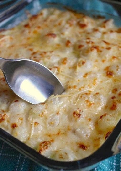 456514513_526402413085948_5161303400673463854_n