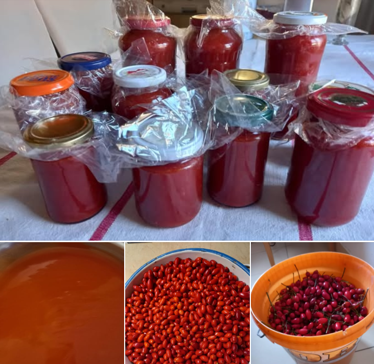 Capture d’écran 2024-12-29 012956