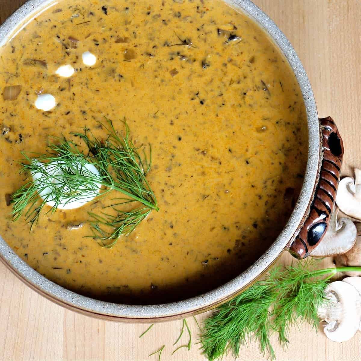 Hungarian Mushroom Soup 042aeee14d23d0aea557d661023e6ea9_compress