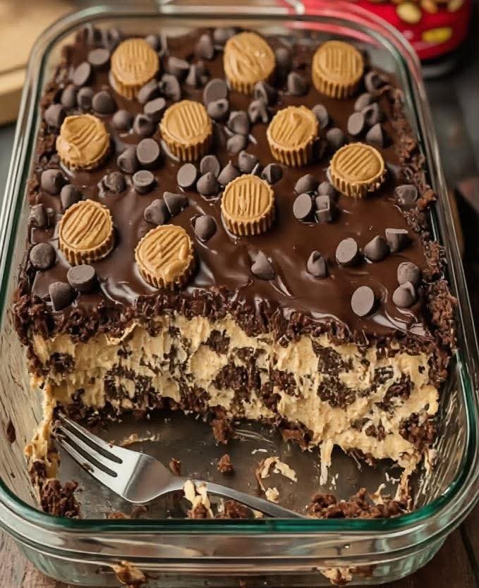 FB_IMG_1765323366401